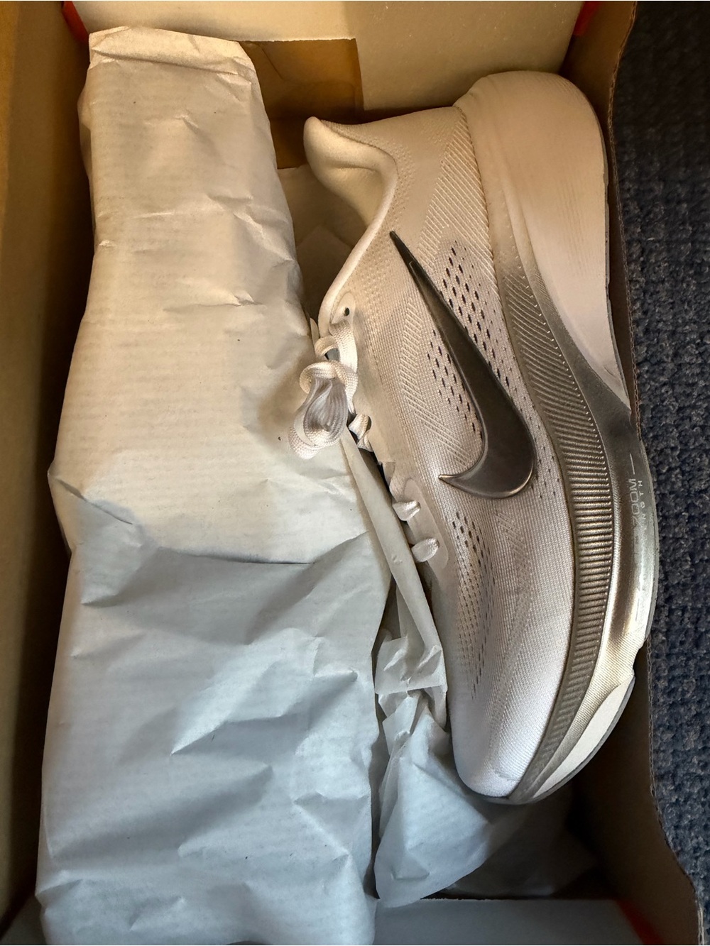 Nike Zoom Pegasus 42 - White with Silver Women 9